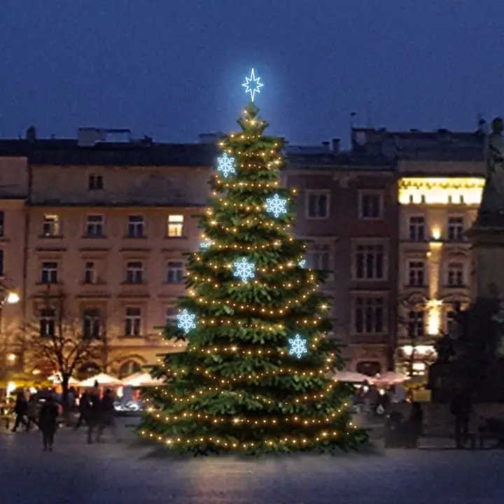 DLED TRS2022A LED světelná sada na stromy vysoké 6-8m, teplá bílá s ledově bílými dekory EFD05