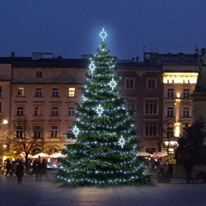DLED TRS2023 LED světelná sada na stromy vysoké 6-8m, ledová bílá s dekory EFD09S1