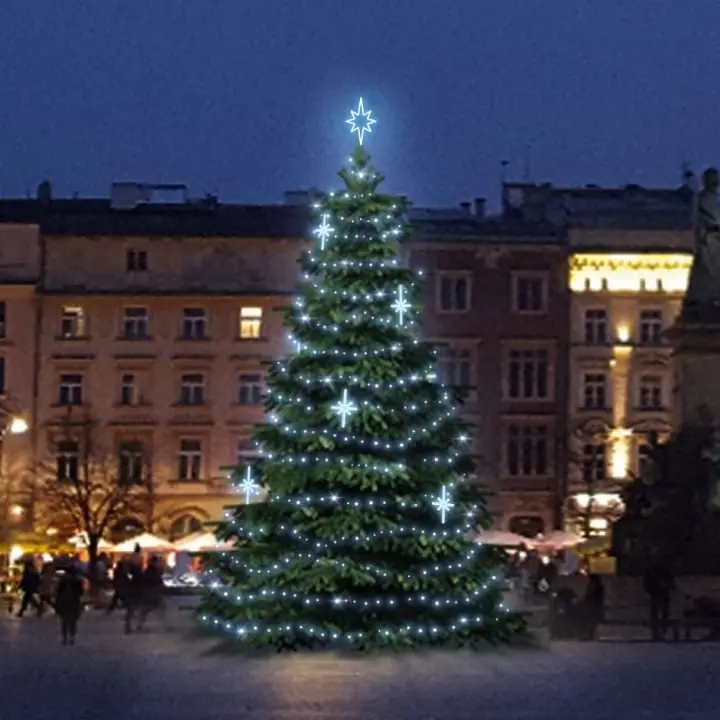 DLED TRS2025 LED světelná sada na stromy vysoké 6-8m, ledová bílá s dekory EFD15S2