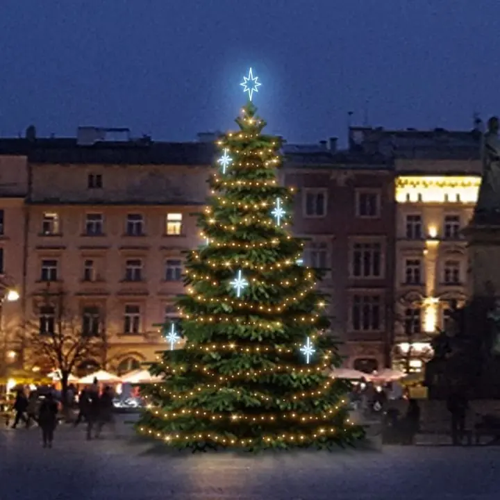 DLED TRS2025A LED světelná sada na stromy vysoké 6-8m, teplá bílá s ledově bílými dekory EFD15S2