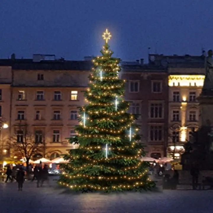 DLED TRS2031W LED světelná sada na stromy vysoké 6-8m, teplá bílá s padajícím sněhem