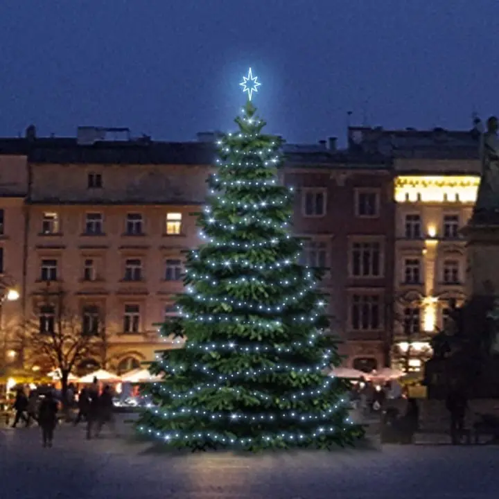 DLED TRS301 LED světelná sada na stromy vysoké 9-11m, ledová bílá