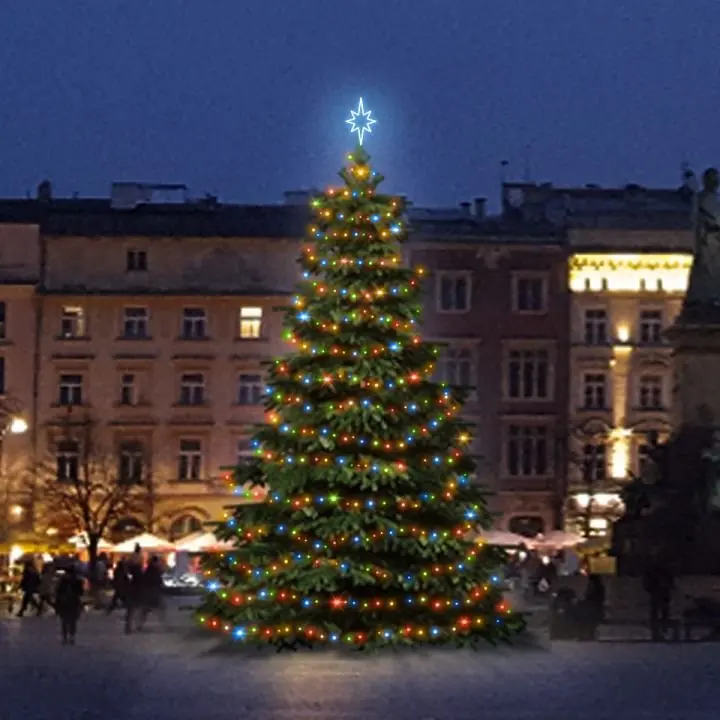 DLED TRS301M LED světelná sada na stromy vysoké 9-11m, barevná