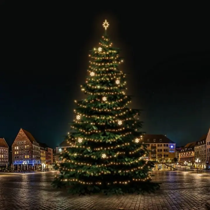 DLED TRS7021W LED světelná sada na stromy vysoké 21-23m, teplá bílá s dekory EFD02W