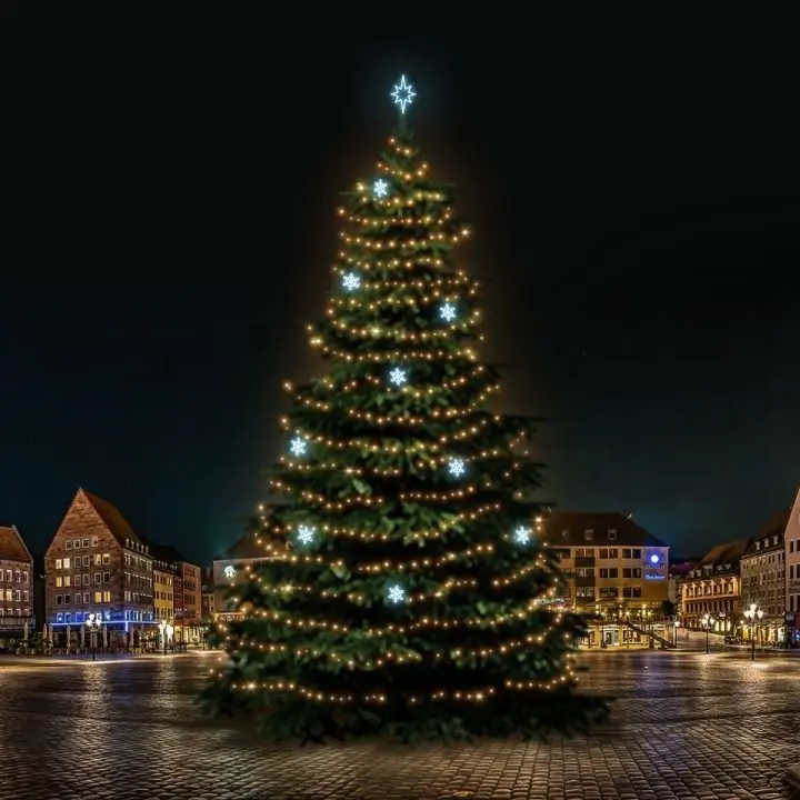 DLED TRS7022A LED světelná sada na stromy vysoké 21-23m, teplá bílá s ledově bílými dekory EFD05