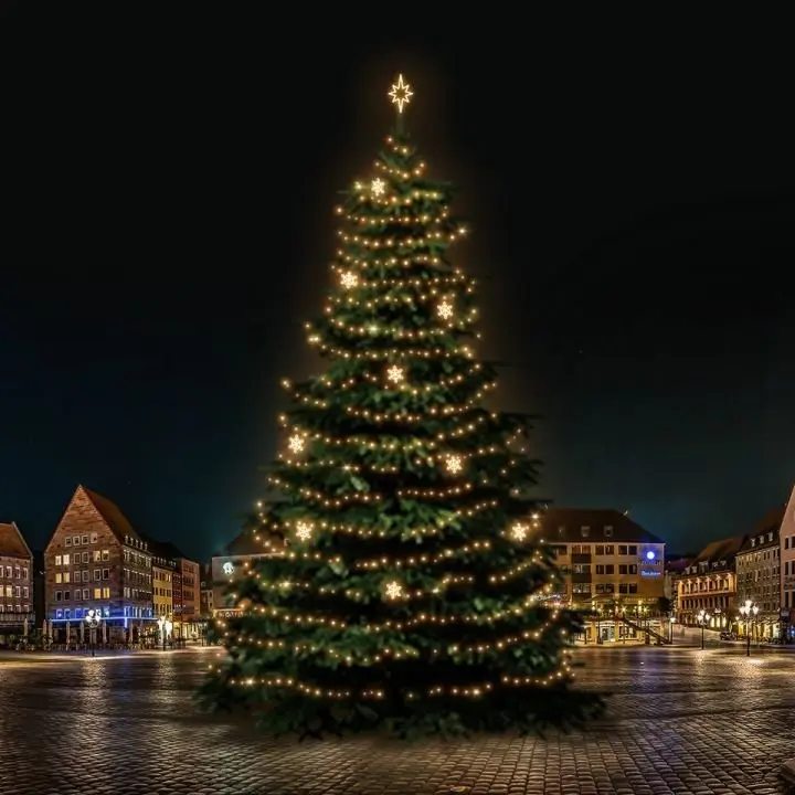 DLED TRS7022W LED světelná sada na stromy vysoké 21-23m, teplá bílá s dekory EFD05W