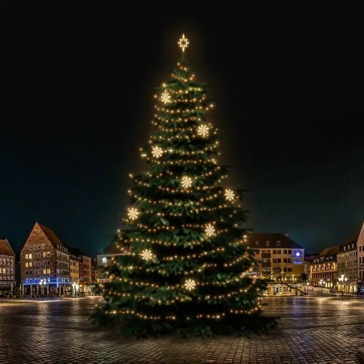 DLED TRS7023W LED světelná sada na stromy vysoké 21-23m, teplá bílá s dekory 8EFD08W