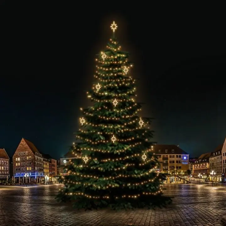 DLED TRS7024W LED světelná sada na stromy vysoké 21-23m, teplá bílá s dekory EFD10WS2
