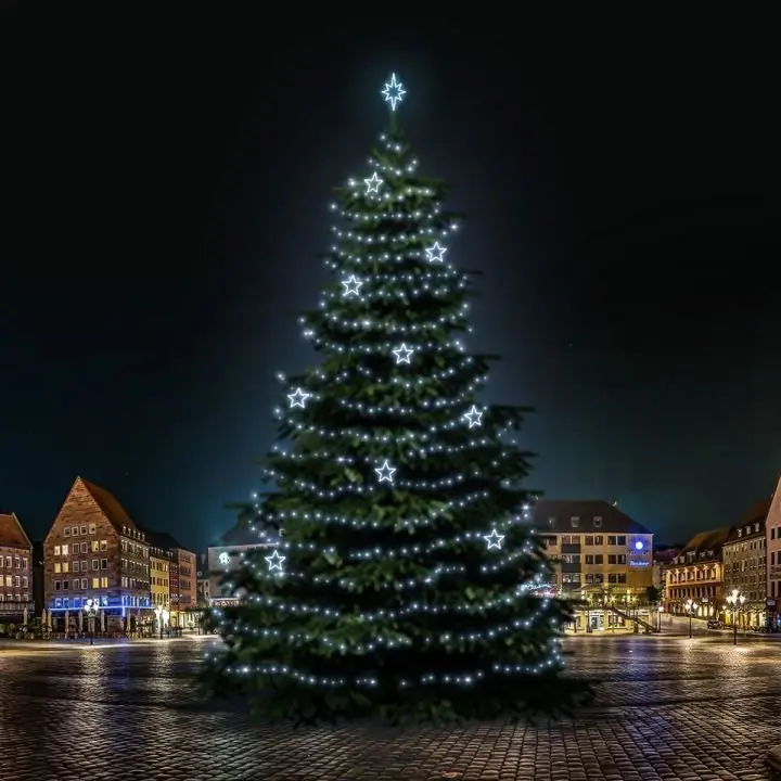 DLED TRS7025 LED světelná sada na stromy vysoké 21-23m, ledová bílá s dekory 8EFD13
