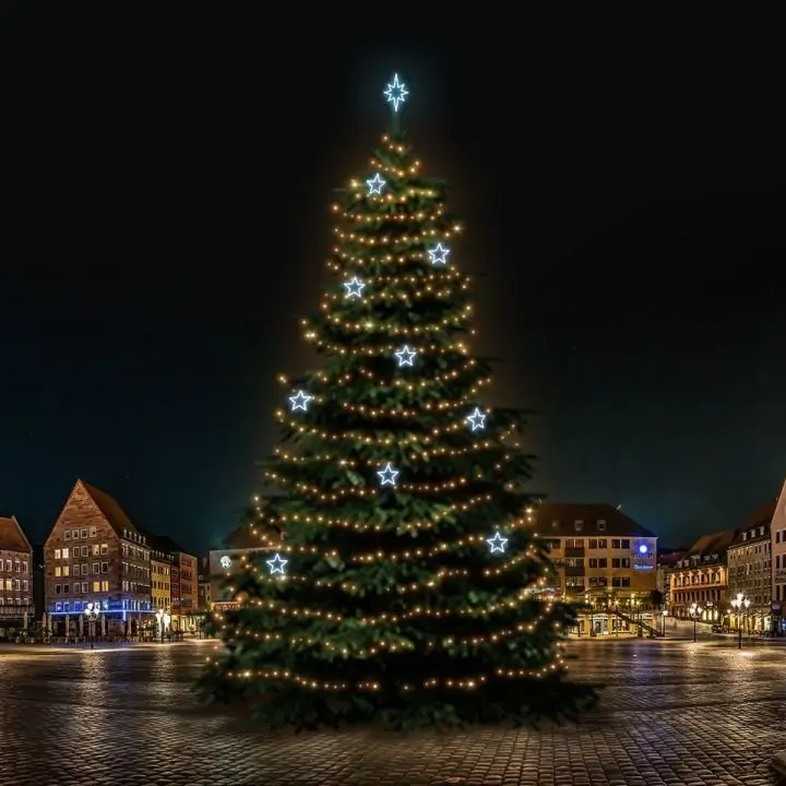 DLED TRS7025A LED světelná sada na stromy vysoké 21-23m, teplá bílá s ledově bílými dekory 8EFD13