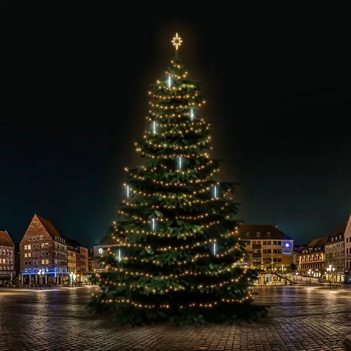 DLED TRS7031W LED světelná sada na stromy vysoké 21-23m, teplá bílá s padajícím sněhem