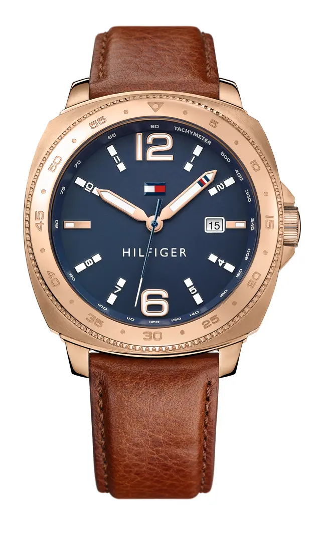 Hodinky TOMMY HILFIGER 1791431