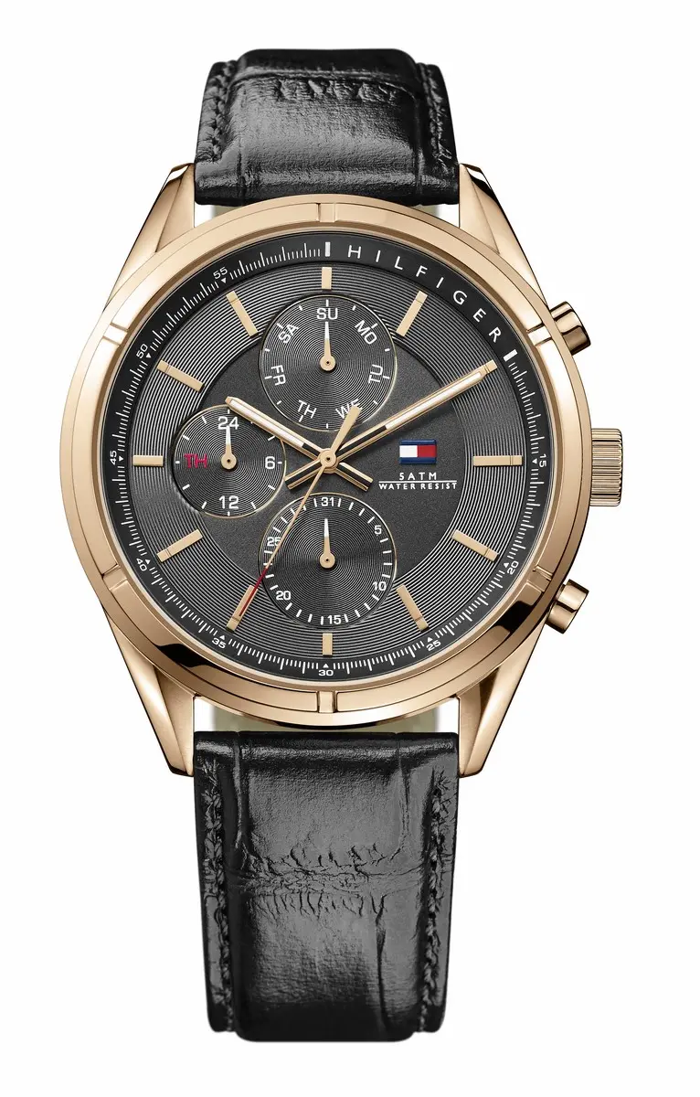 Hodinky TOMMY HILFIGER 1791125