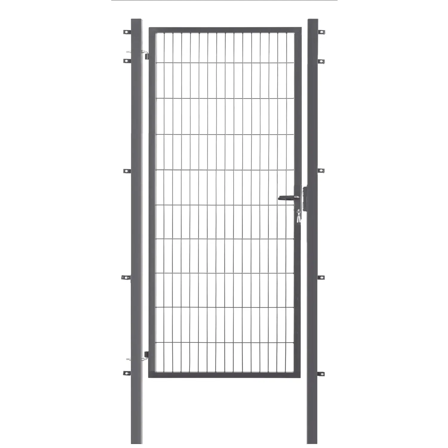 Floraworld Jednokřídlá kovová branka Comfort antracit 200 x 100 cm