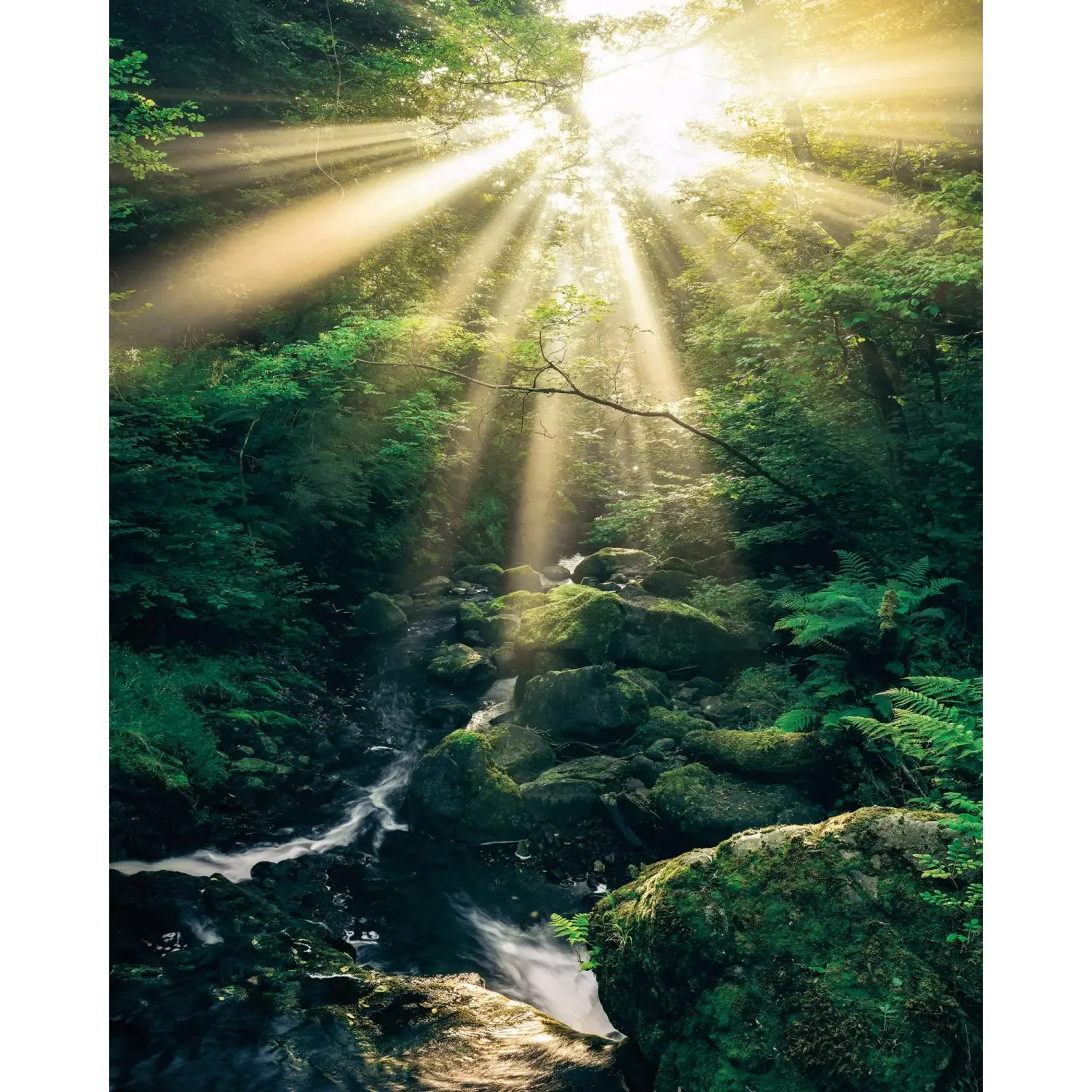 Komar Vliesová fototapeta Divine 200 x 250 cm
