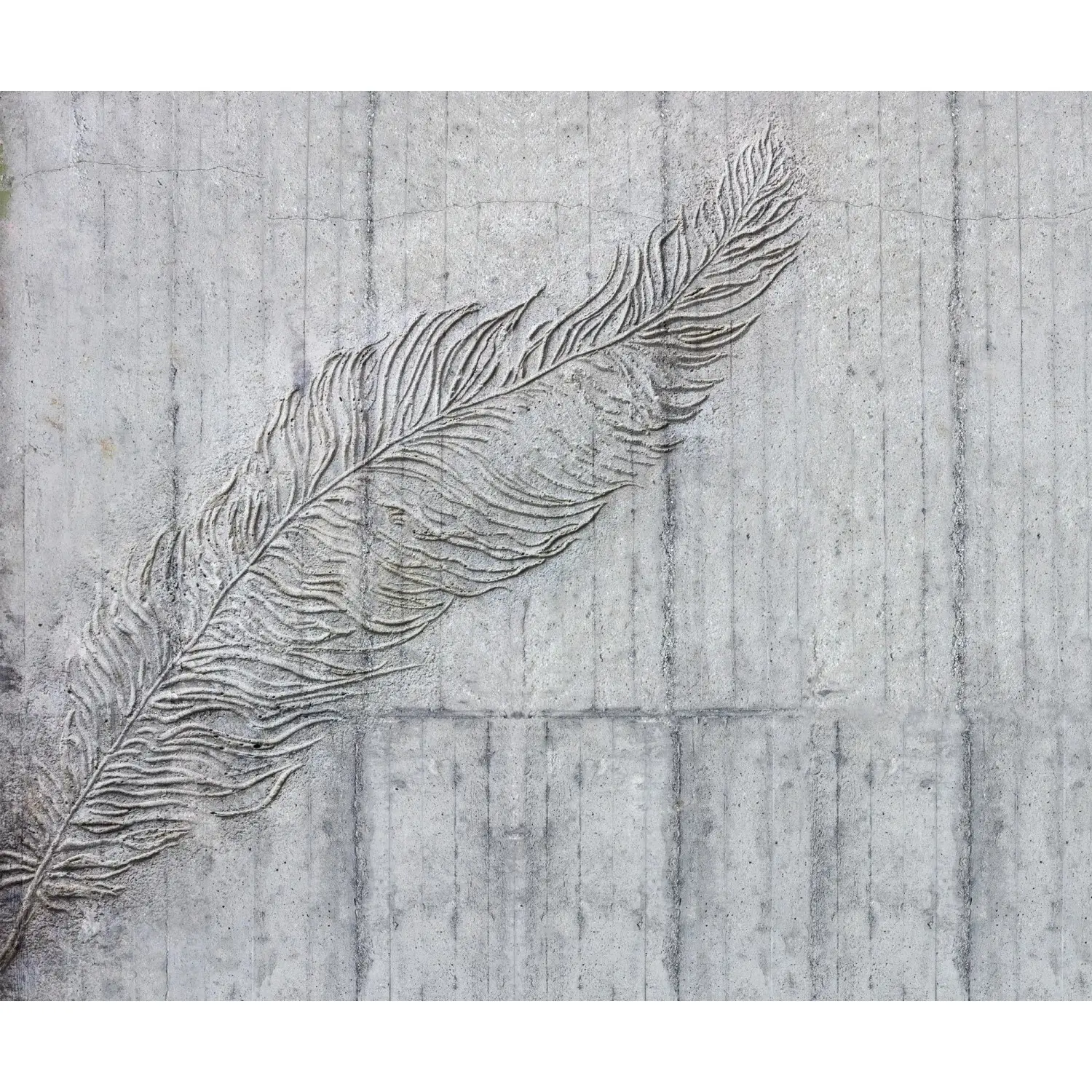 Komar Vliesová fototapeta Betonfeder 300 x 250 cm