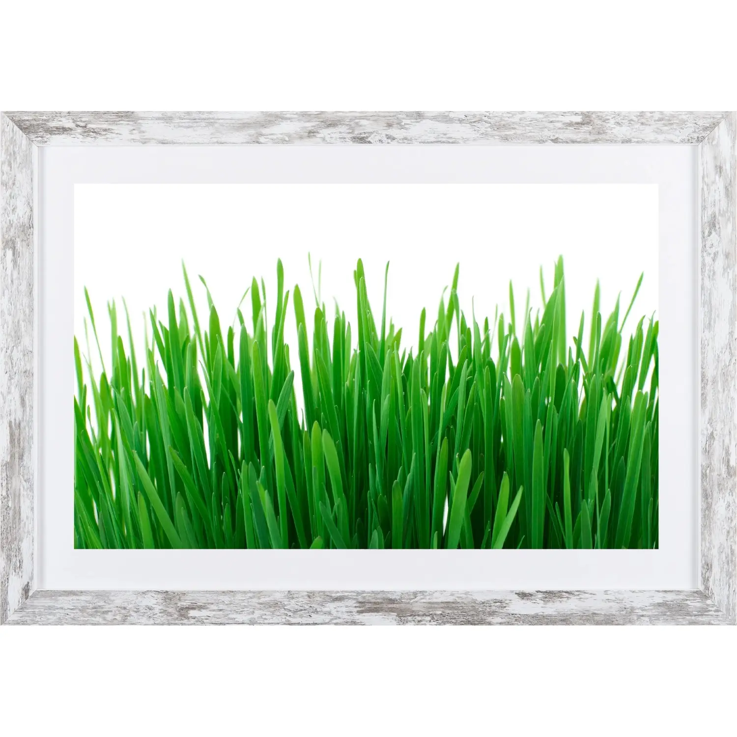 Bondecor Obraz v moderním rámu Green 37 x 53 cm