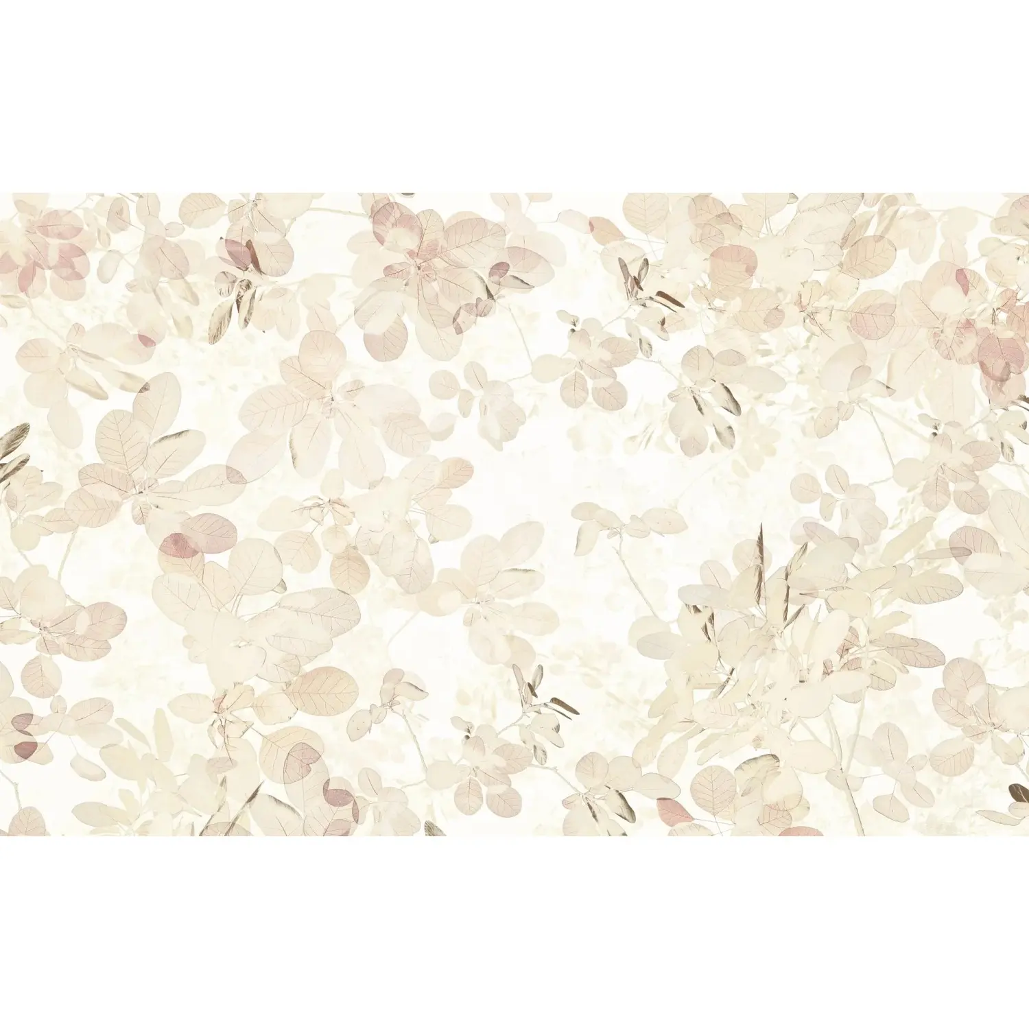 Komar Vliesová fototapeta Sheer 400 x 250 cm