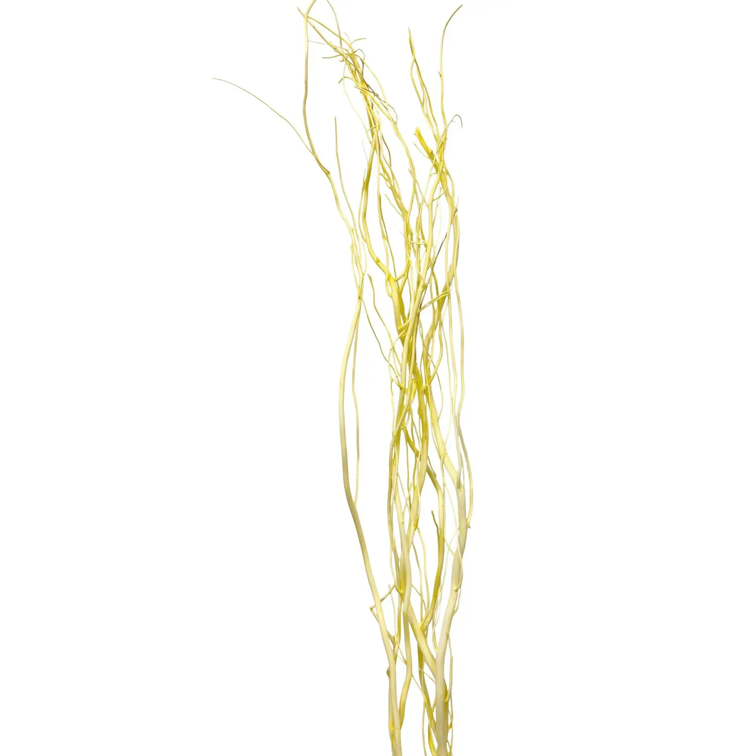 Star Home Decor Vrbové větvičky svazek Salix pastelově žluté 120 cm
