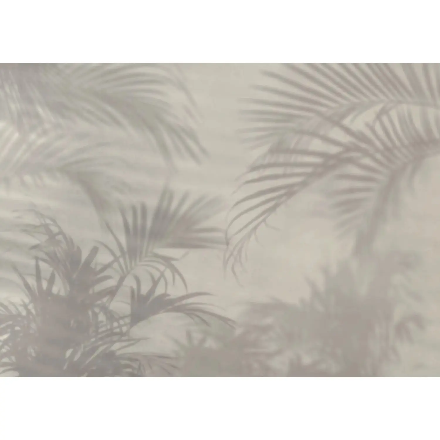 Komar Vliesová fototapeta Lumière 250 x 350 cm