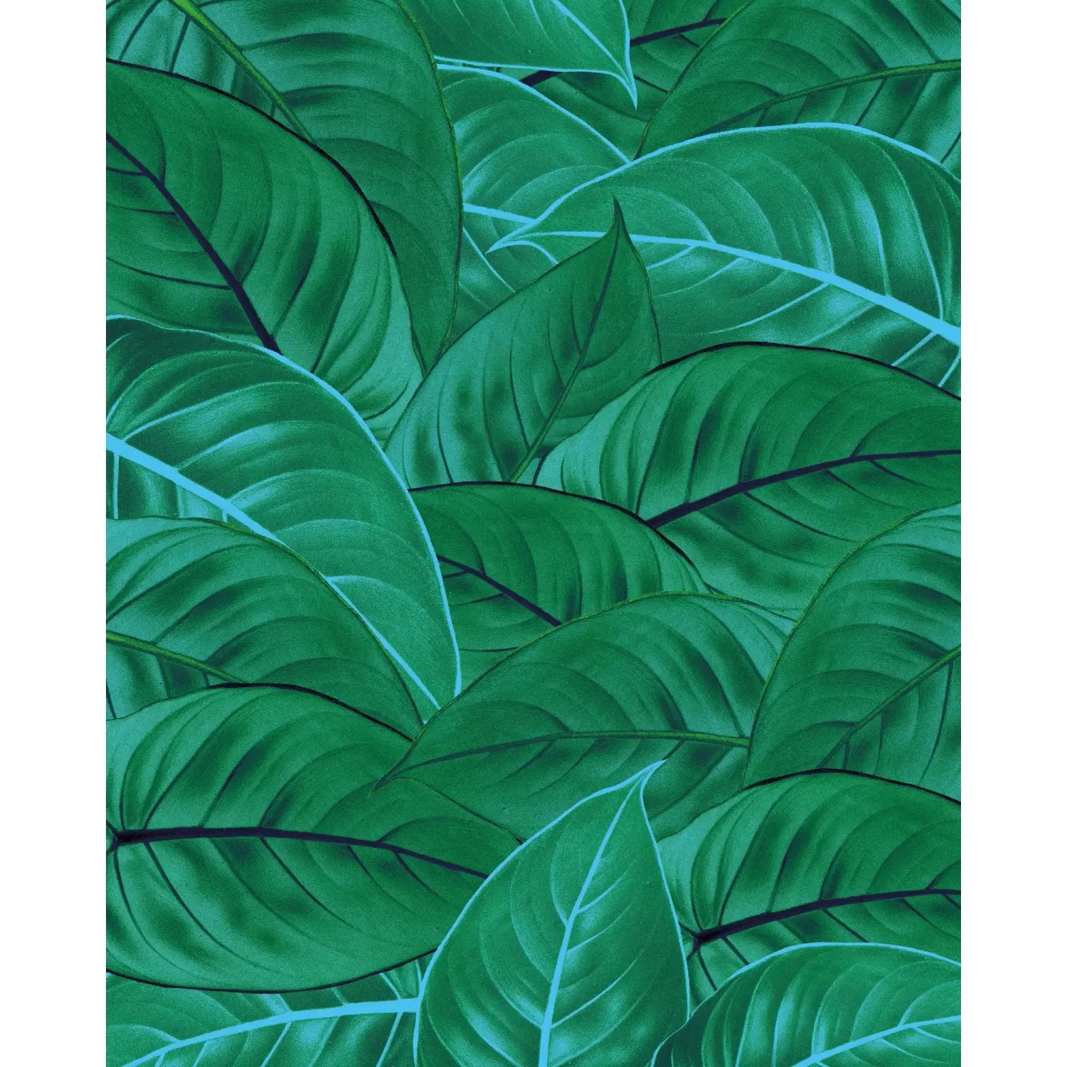 Komar Vliesová fototapeta Jungle Leaves 200 x 250 cm