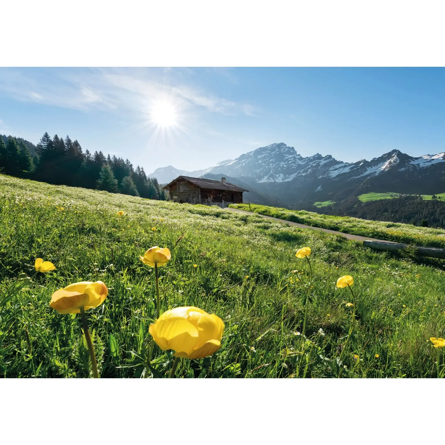 Komar Vliesová fototapeta Alpenglück 400 x 280 cm