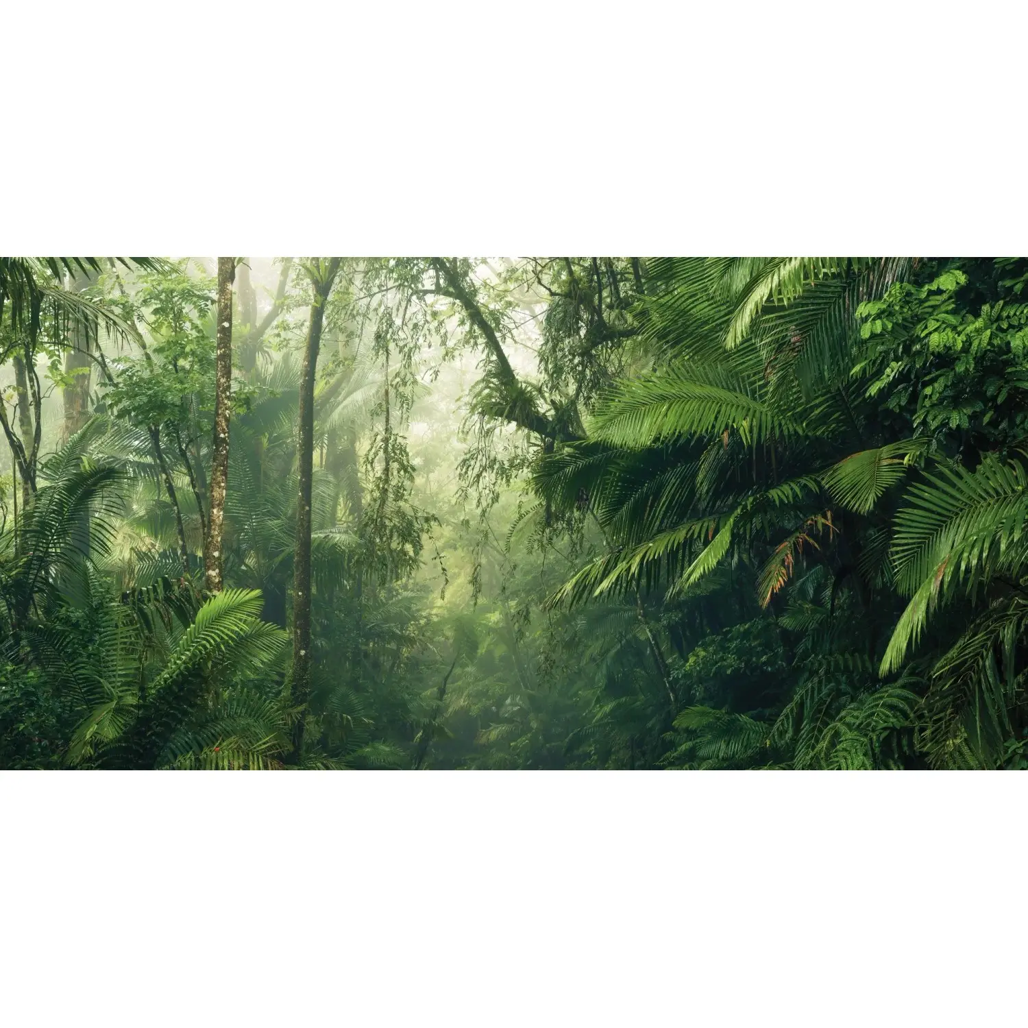 Komar Vliesová fototapeta Tropenwelten 500 x 250 cm