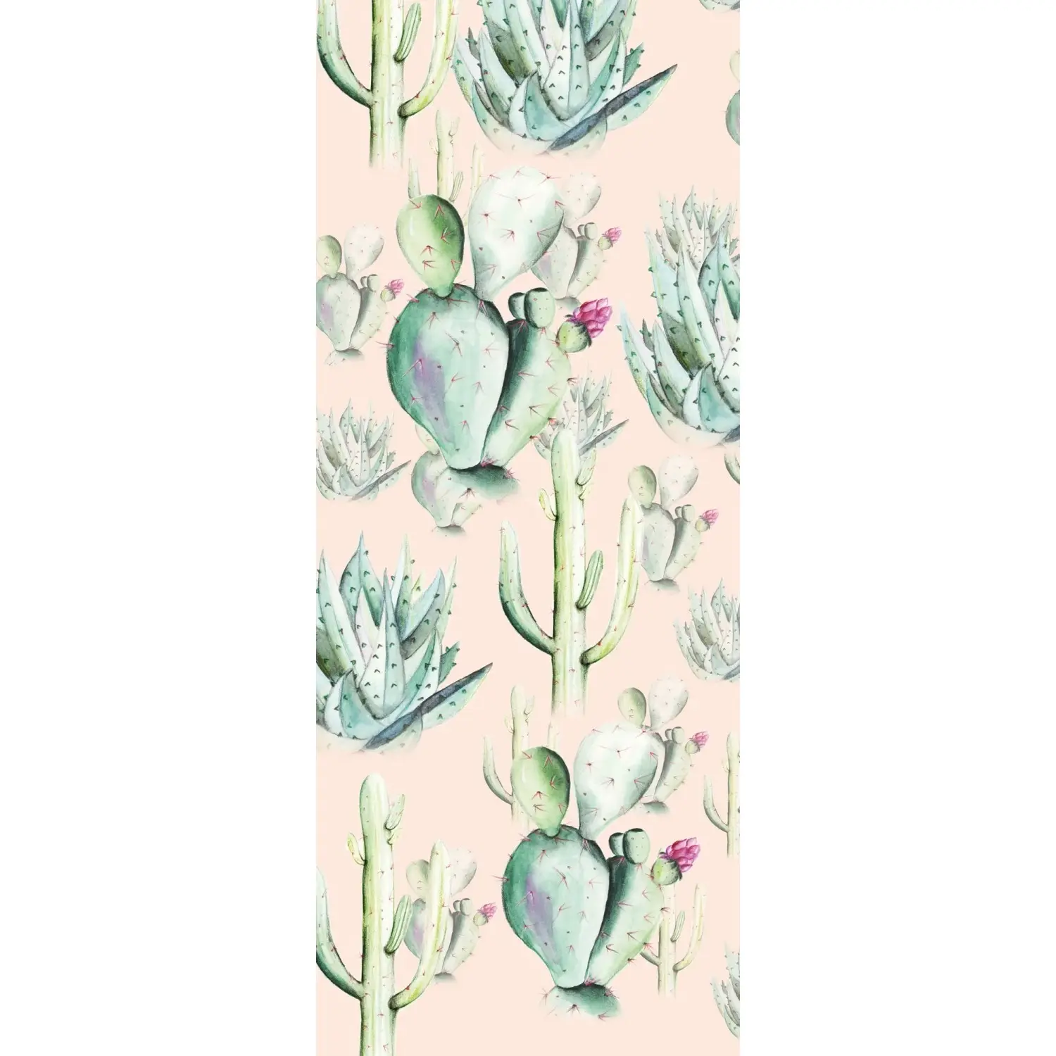 Komar Vliesová fototapeta Cactus Rose 100 x 250 cm