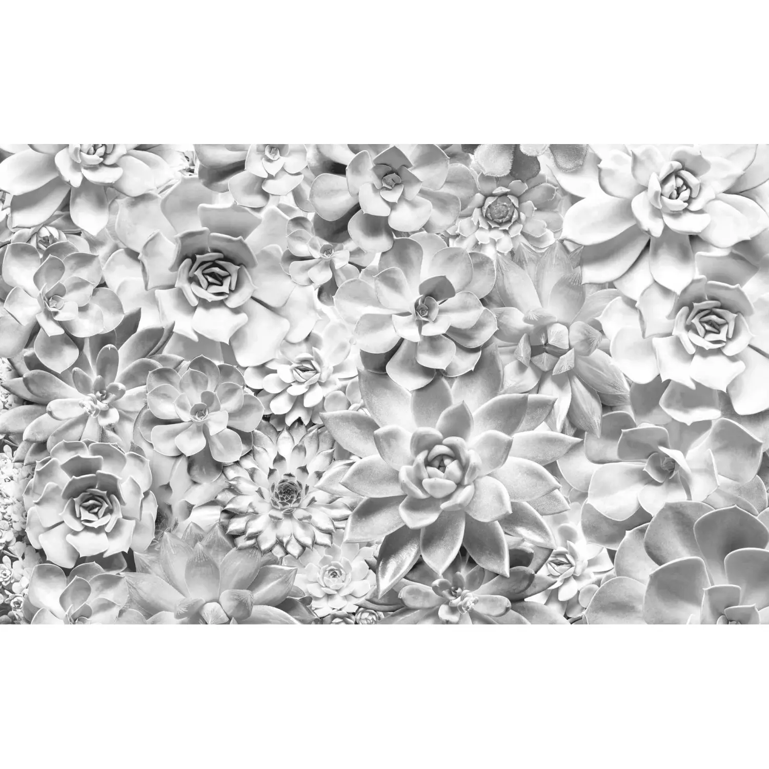 Komar Vliesová fototapeta Shades Black and White 400 x 250 cm