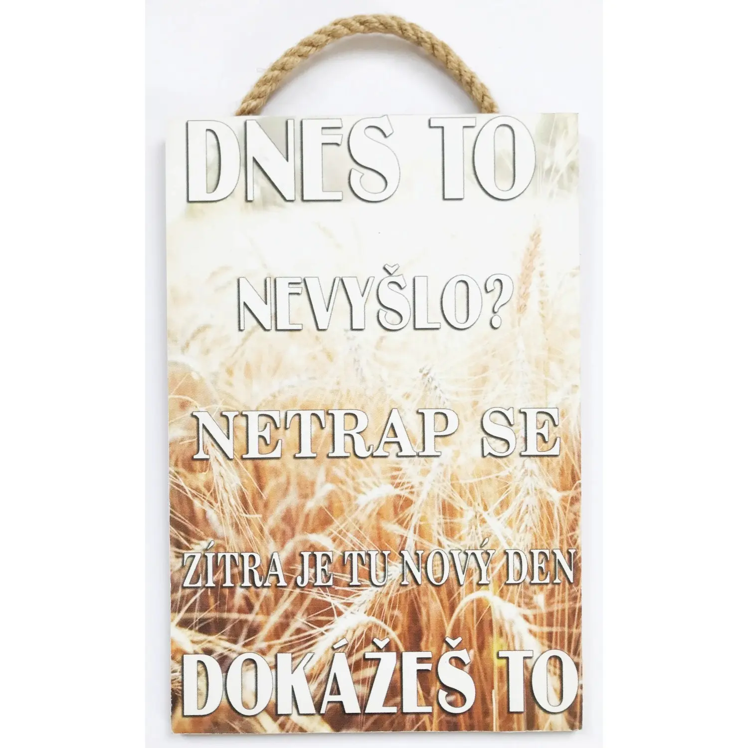 Bondecor Deskový obraz Free 20 x 30 cm