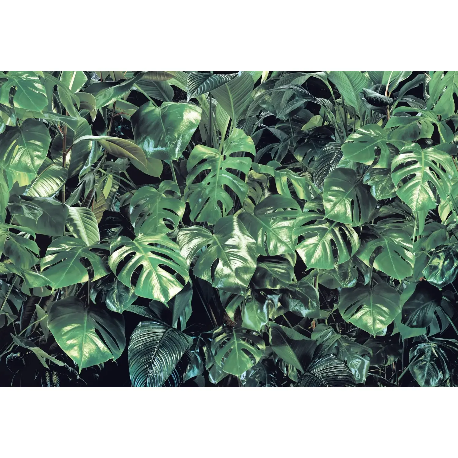 Komar Papírová fototapeta Verdure 368 x 254 cm