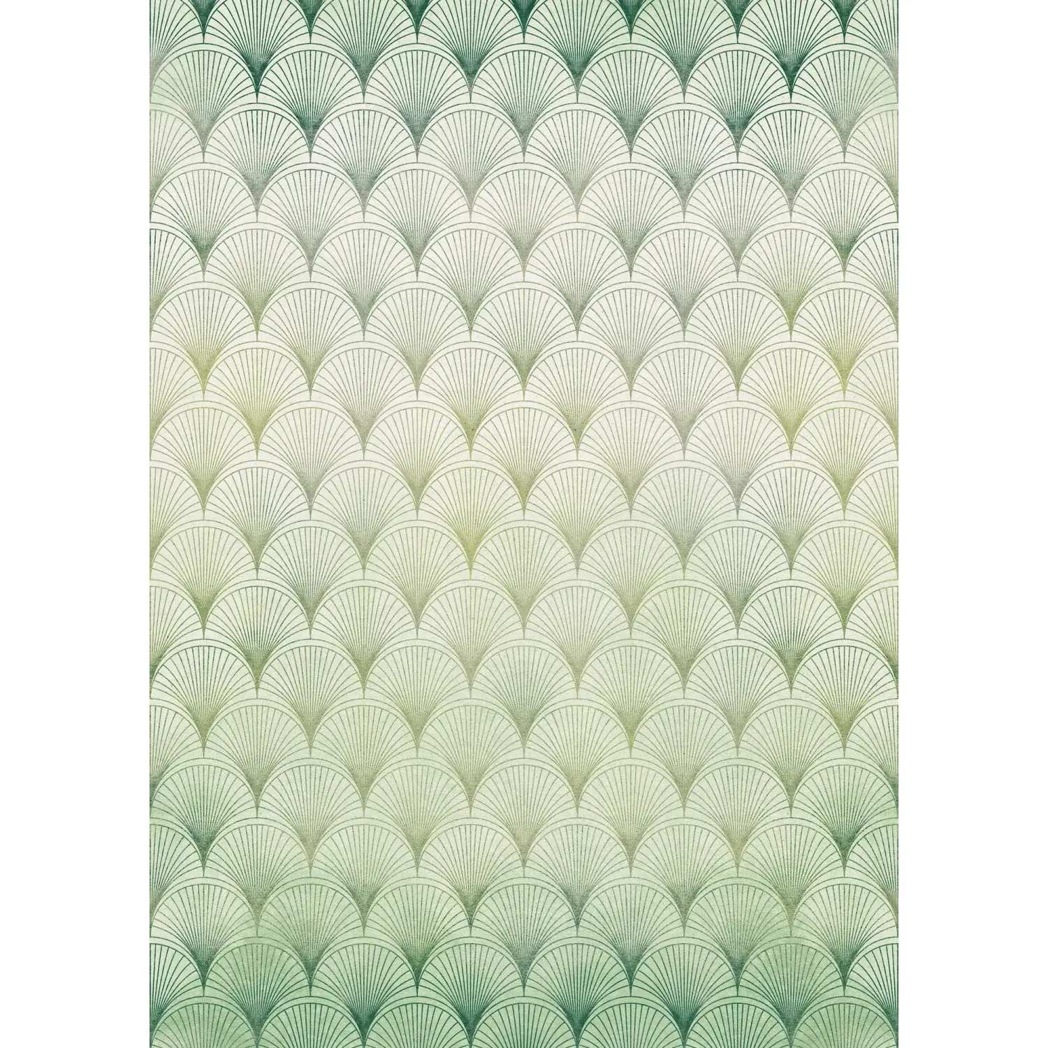 Komar Vliesová fototapeta Écailles 200 x 280 cm
