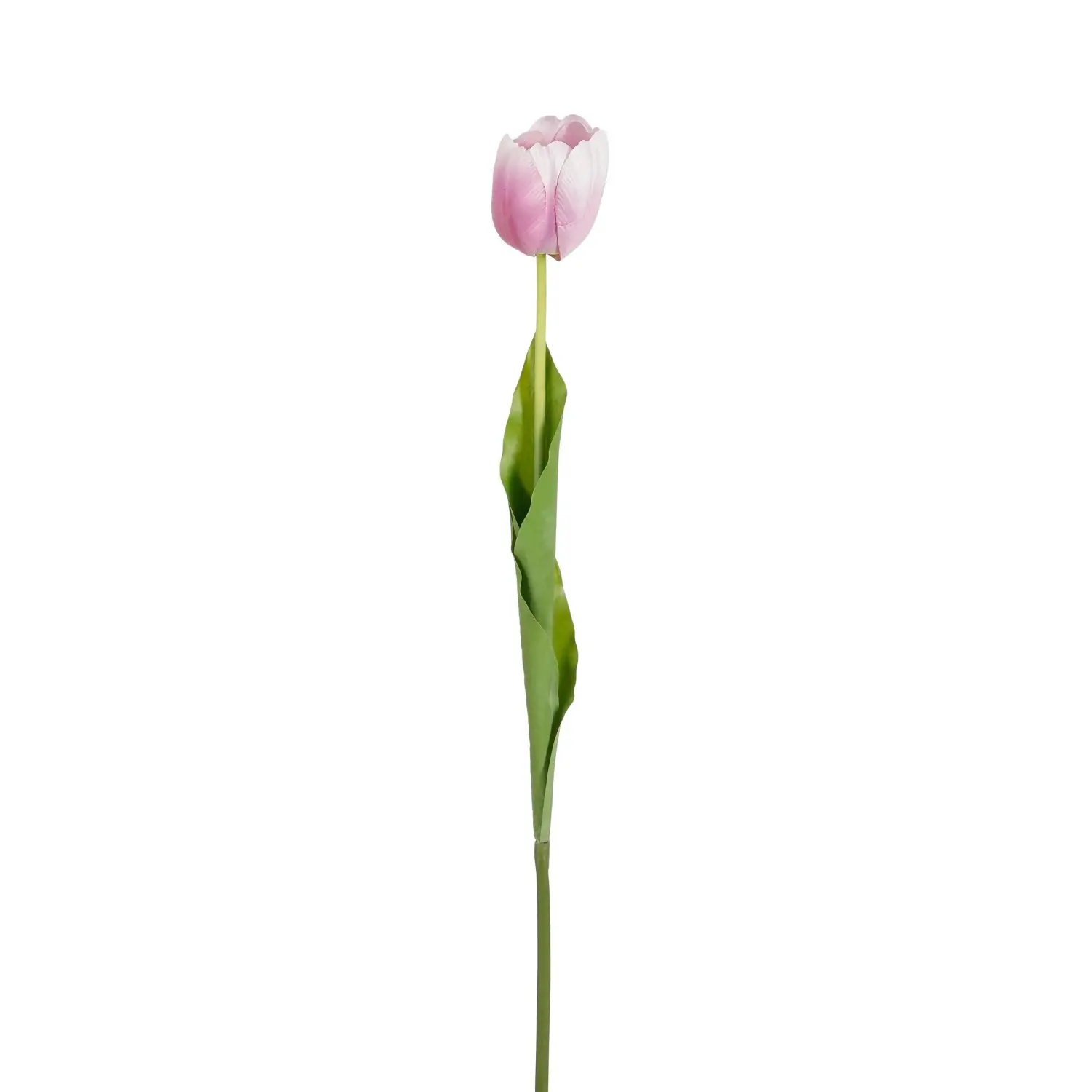Mica Umělá květina tulipán nachový 70 cm