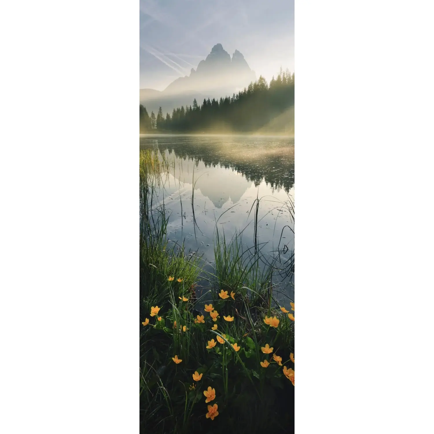 Komar Vliesová fototapeta Morning Mist 100 x 280 cm