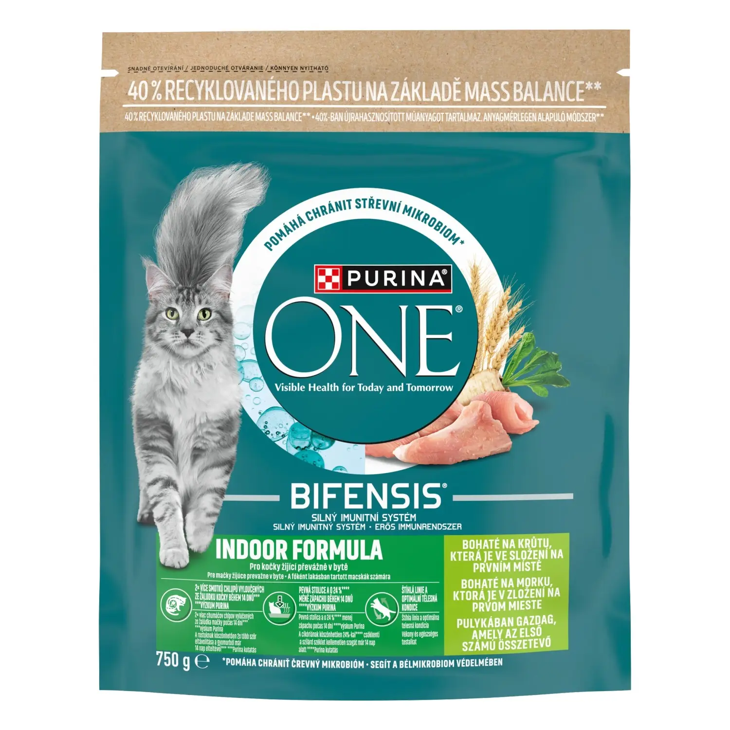 PURINA ONE Bifensis Indoor granule pro kočky krůta 750 g