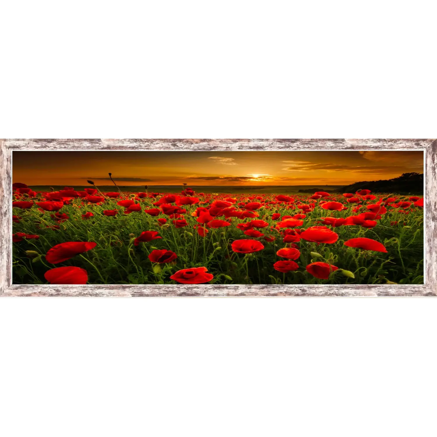 Bondecor Obraz, MDF rám, Příroda 30 x 90 cm