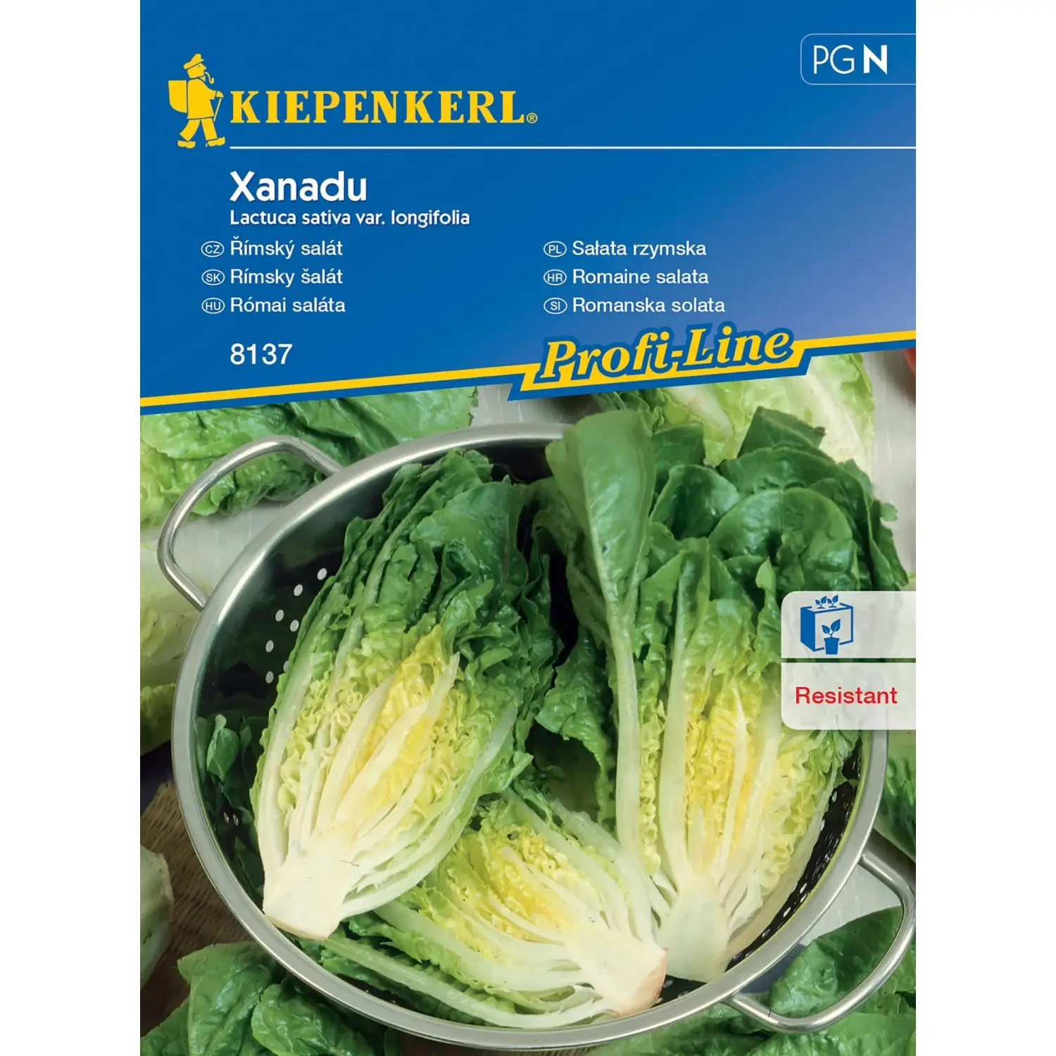 Kiepenkerl Římský salát Xanadu
