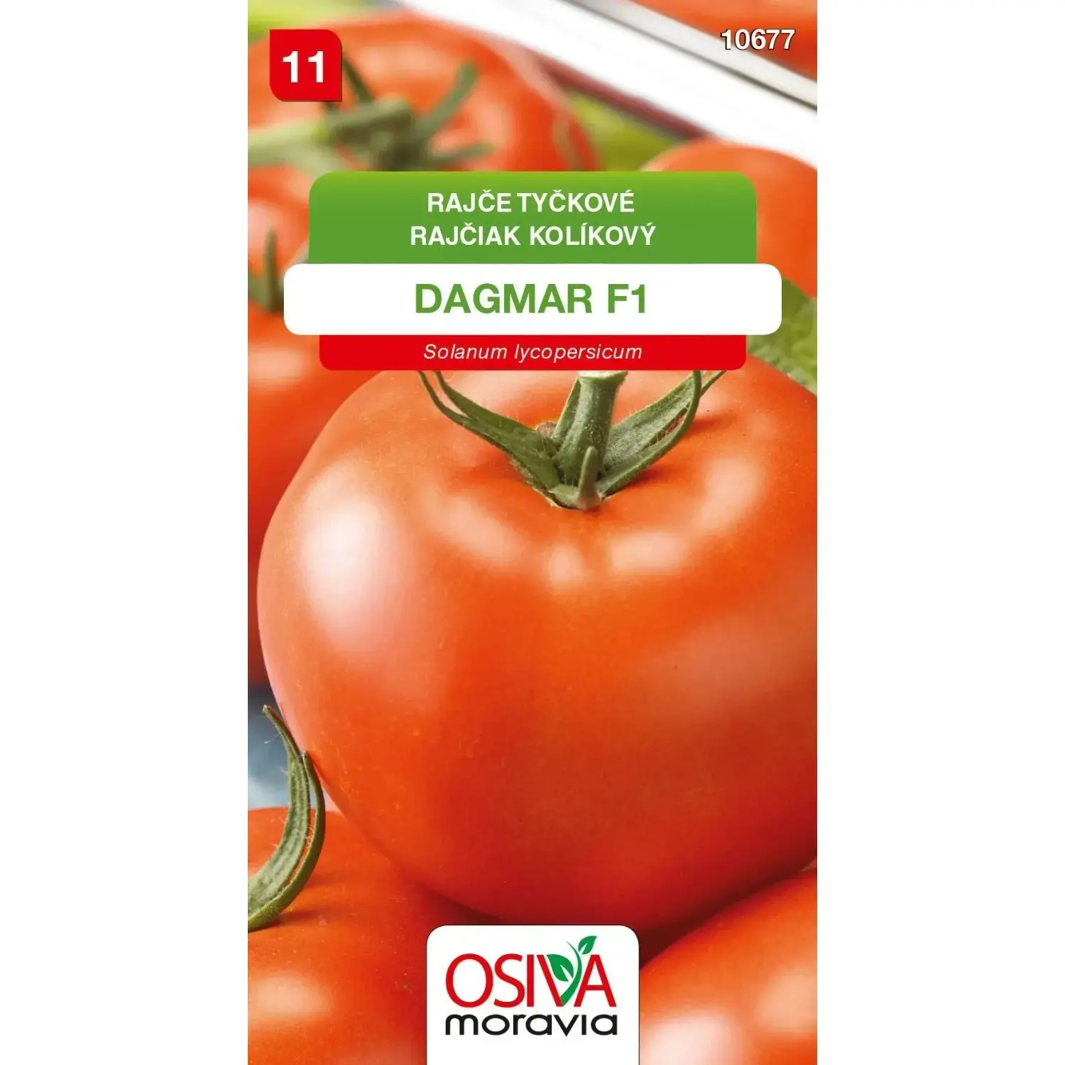 10677 Rajče F1 Dagmar 0,15g / 2604