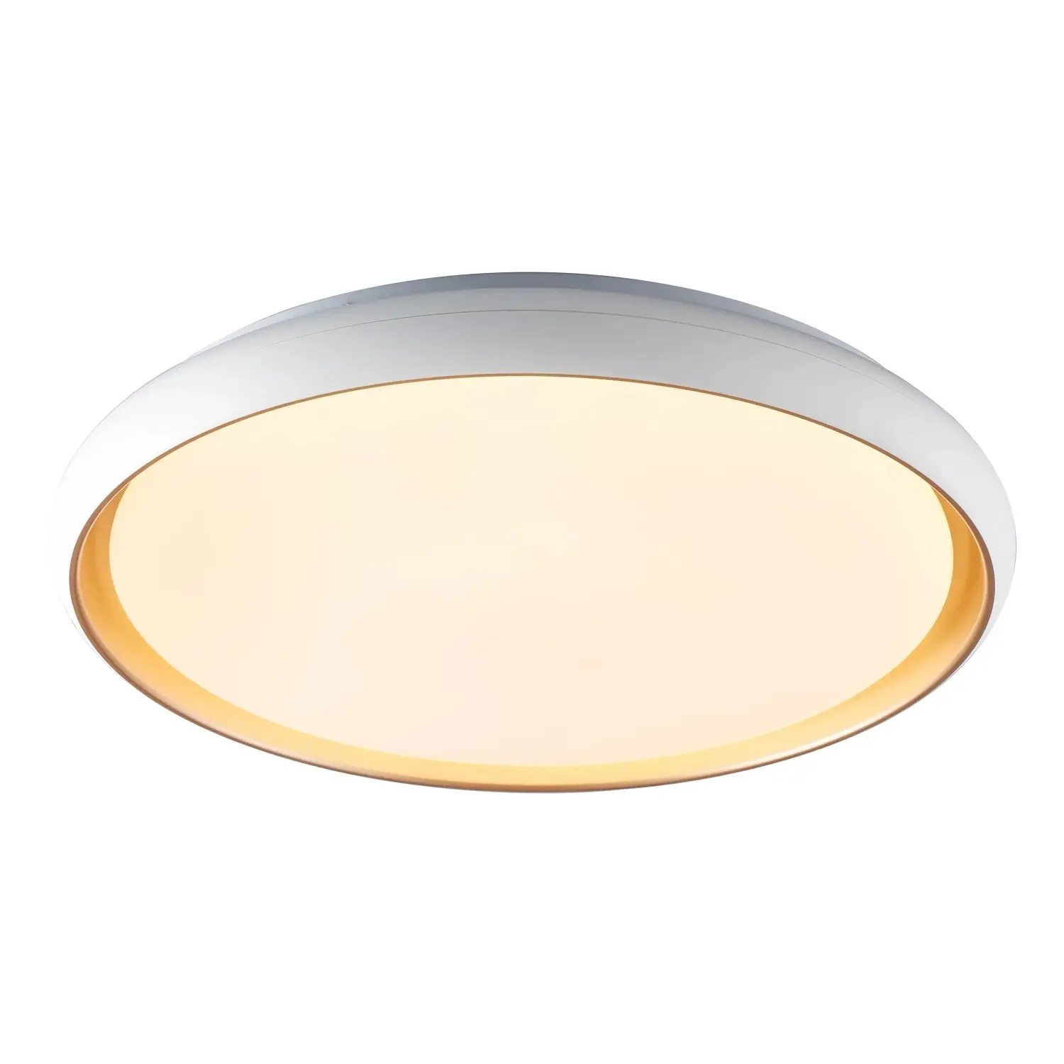 EURAKLES Stropní LED svítidlo HANA, 45 W, 2700 lm, 2700-6500 K, pr. 51 cm