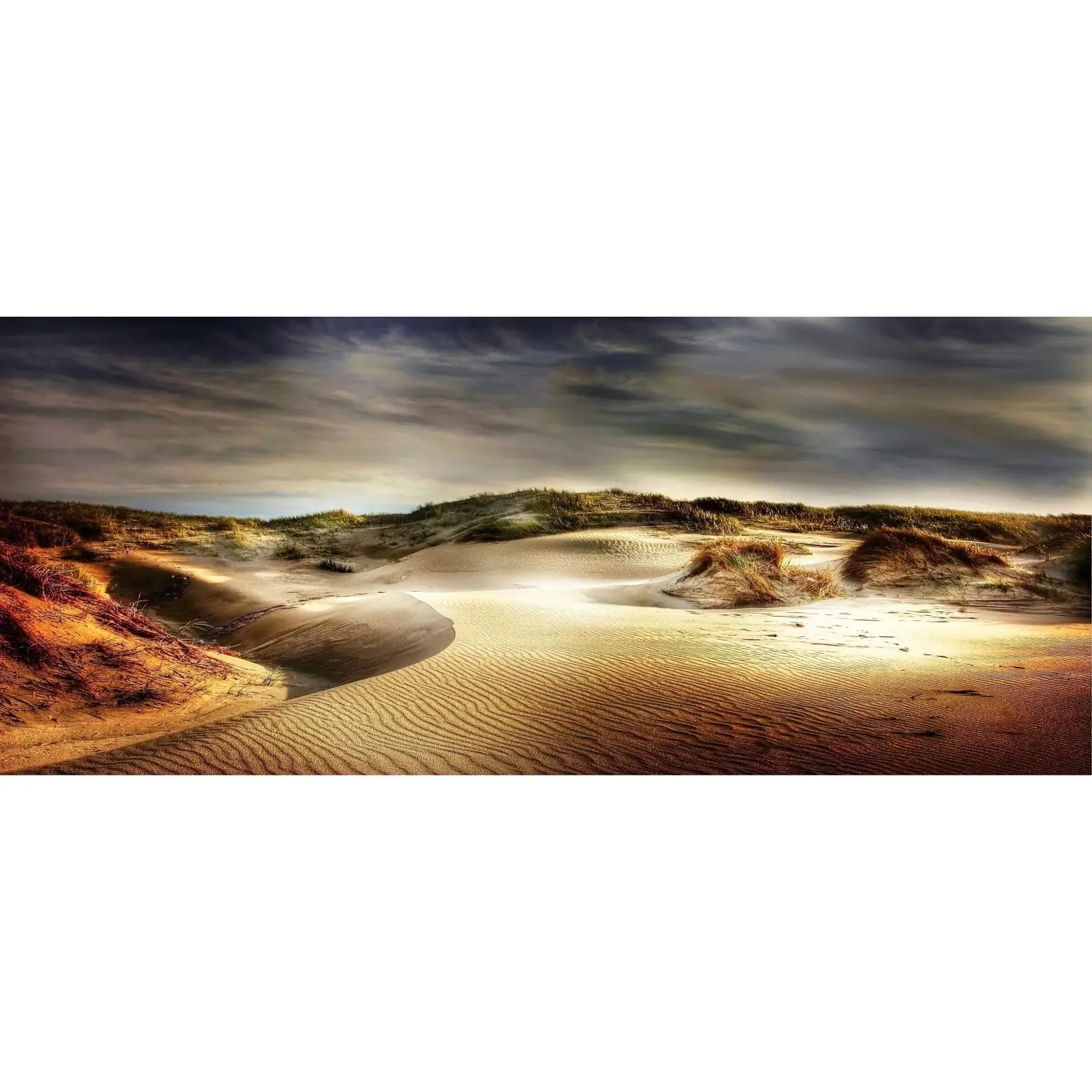 Bondecor Obraz, tištěné plátno Tendy 50 x 120 cm