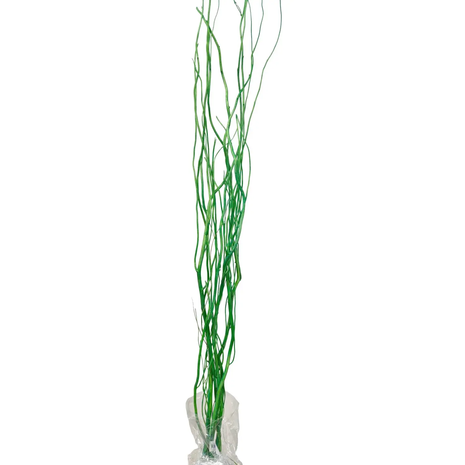 Star Home Decor Vrbové větvičky svazek Salix pastelově zelené 120 cm