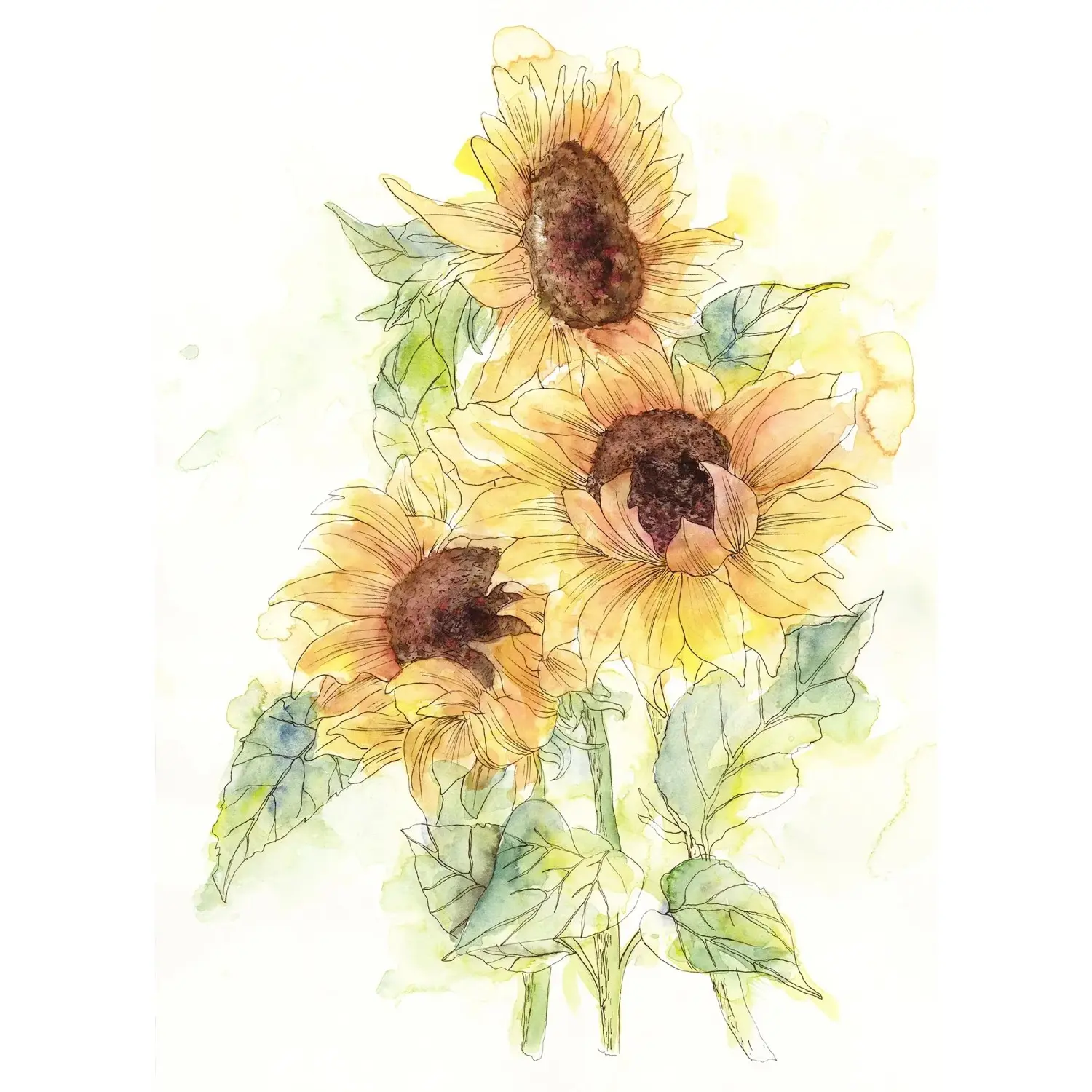 Komar Vliesová fototapeta Girasol 200 x 250 cm