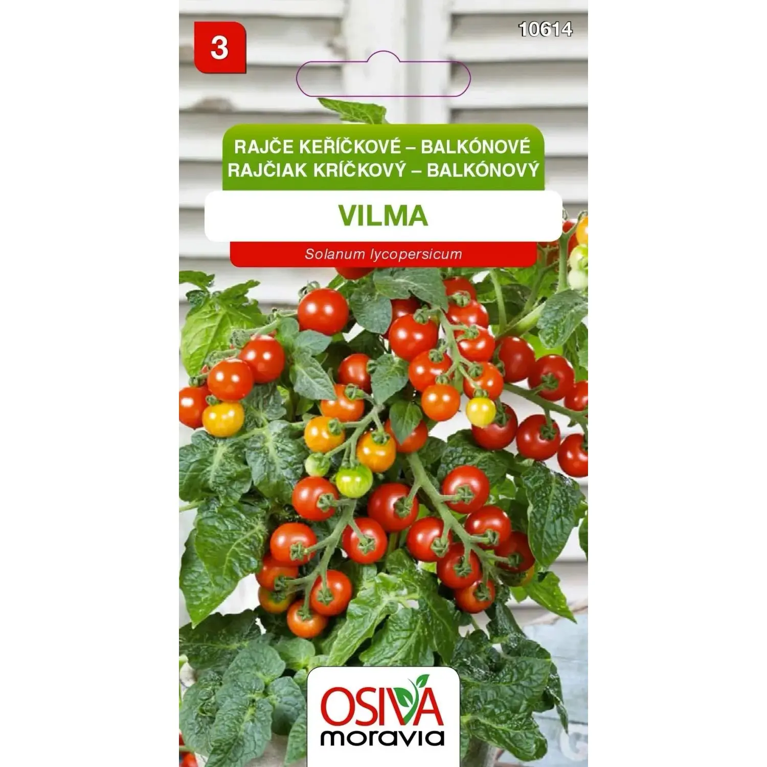 Culina Botanica Rajče balkónové Vilma