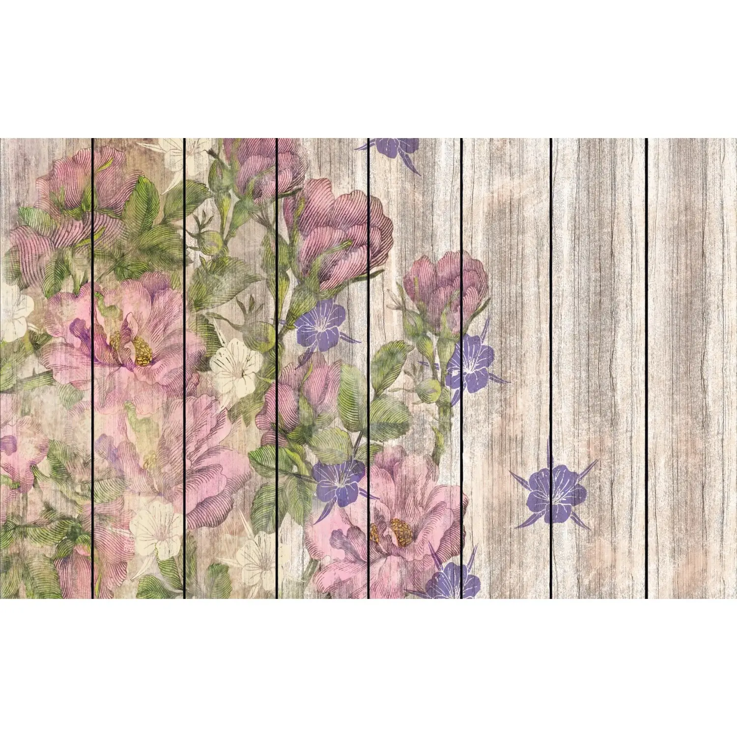 Komar Vliesová fototapeta Vintage Rose 400 x 250 cm