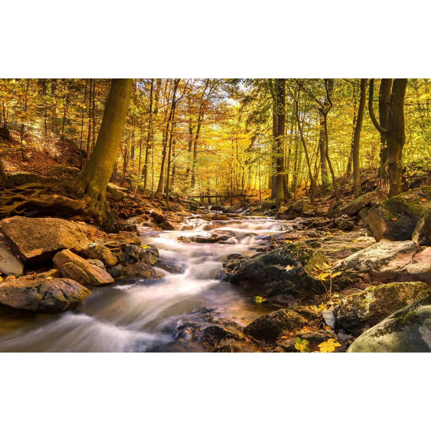 Bondecor Obraz, tištěné plátno Voda 70 x 110 cm