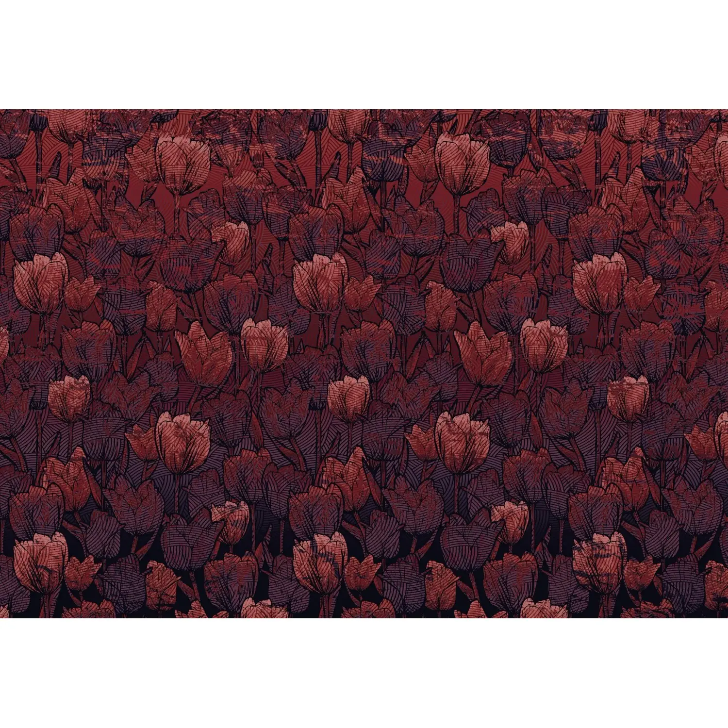 Komar Vliesová fototapeta Tulipe 400 x 280 cm