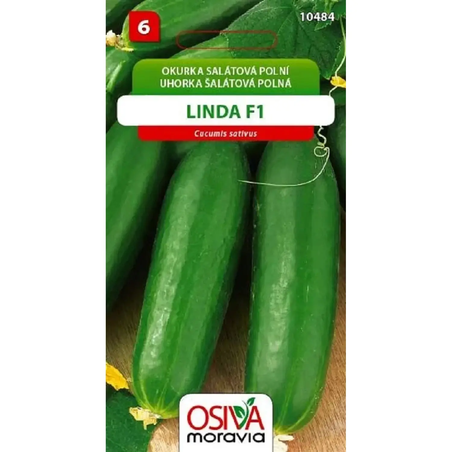 10484 Okurka F1 Linda 1g / 1904