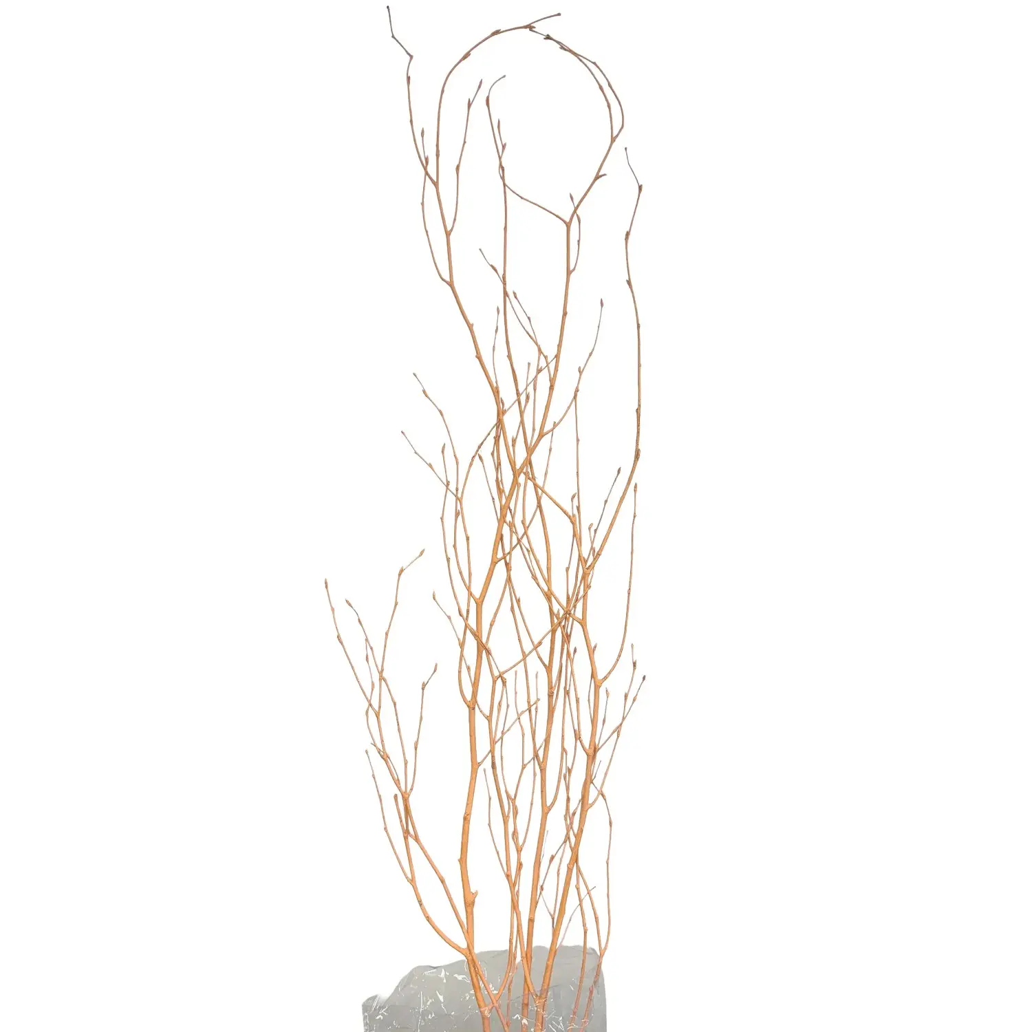 Star Home Decor Březové větvičky svazek Betula pastelově oranžové 110cm