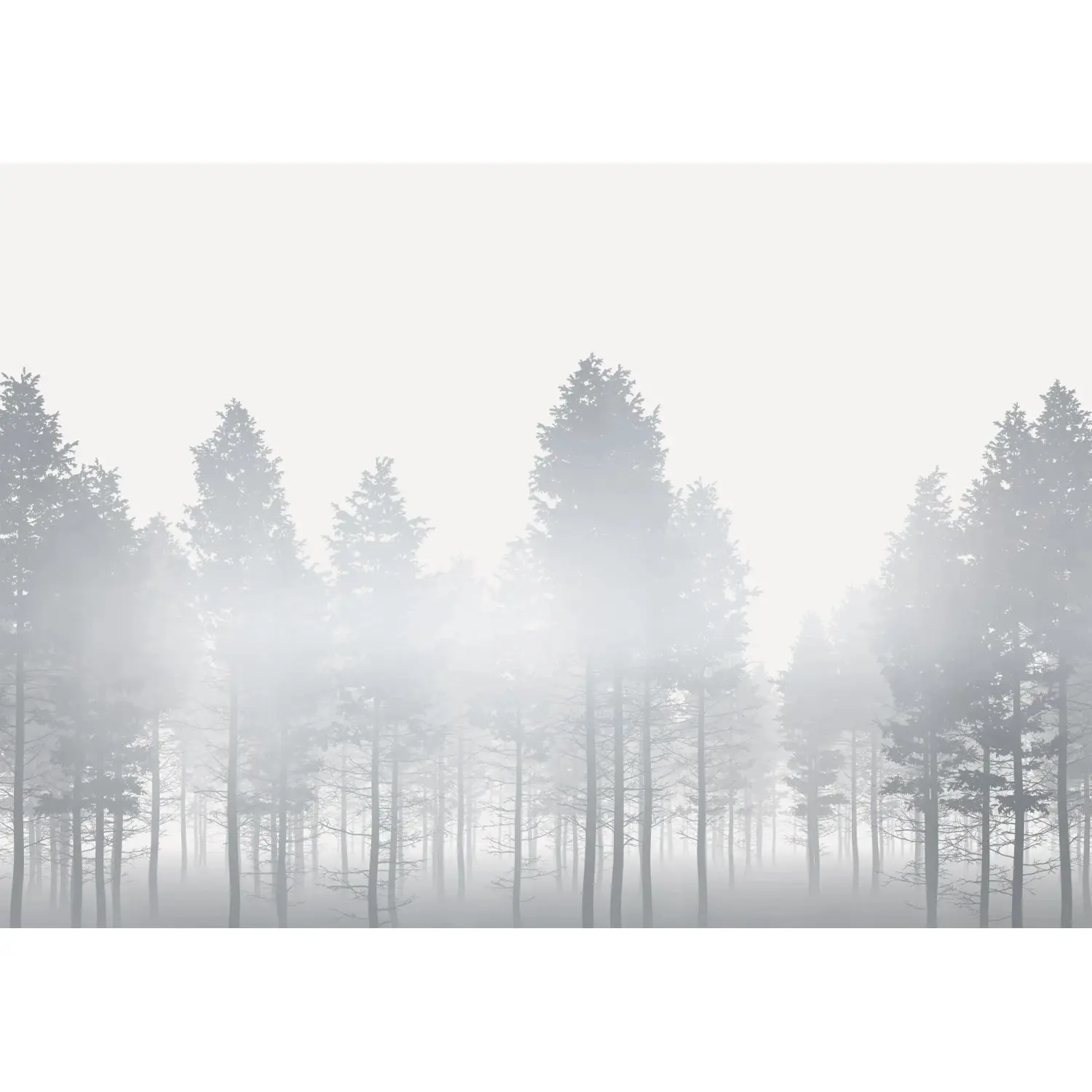 Komar Vliesová fototapeta Silver Haze 400 x 280 cm