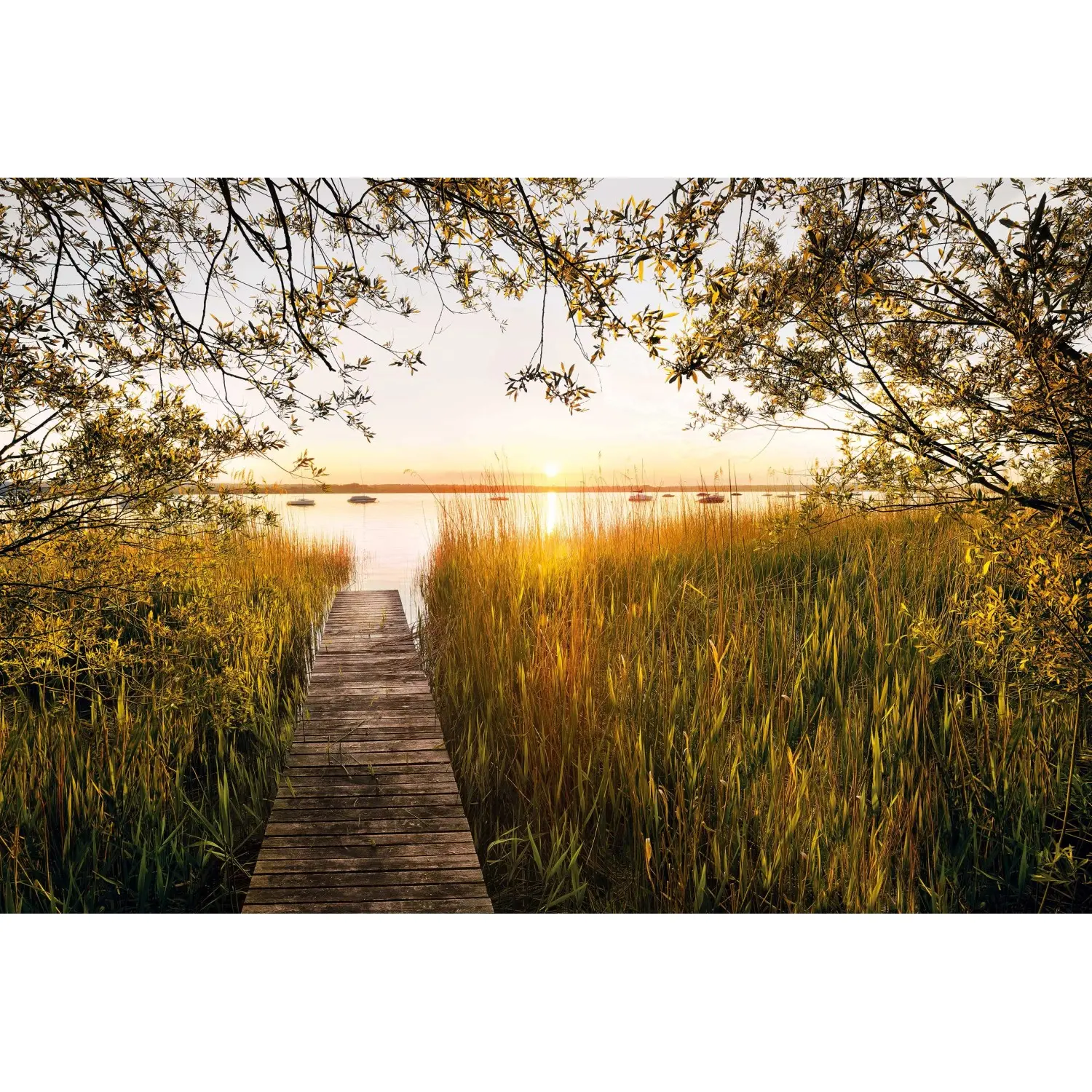 Komar Vliesová fototapeta Lakeside 400 x 260 cm